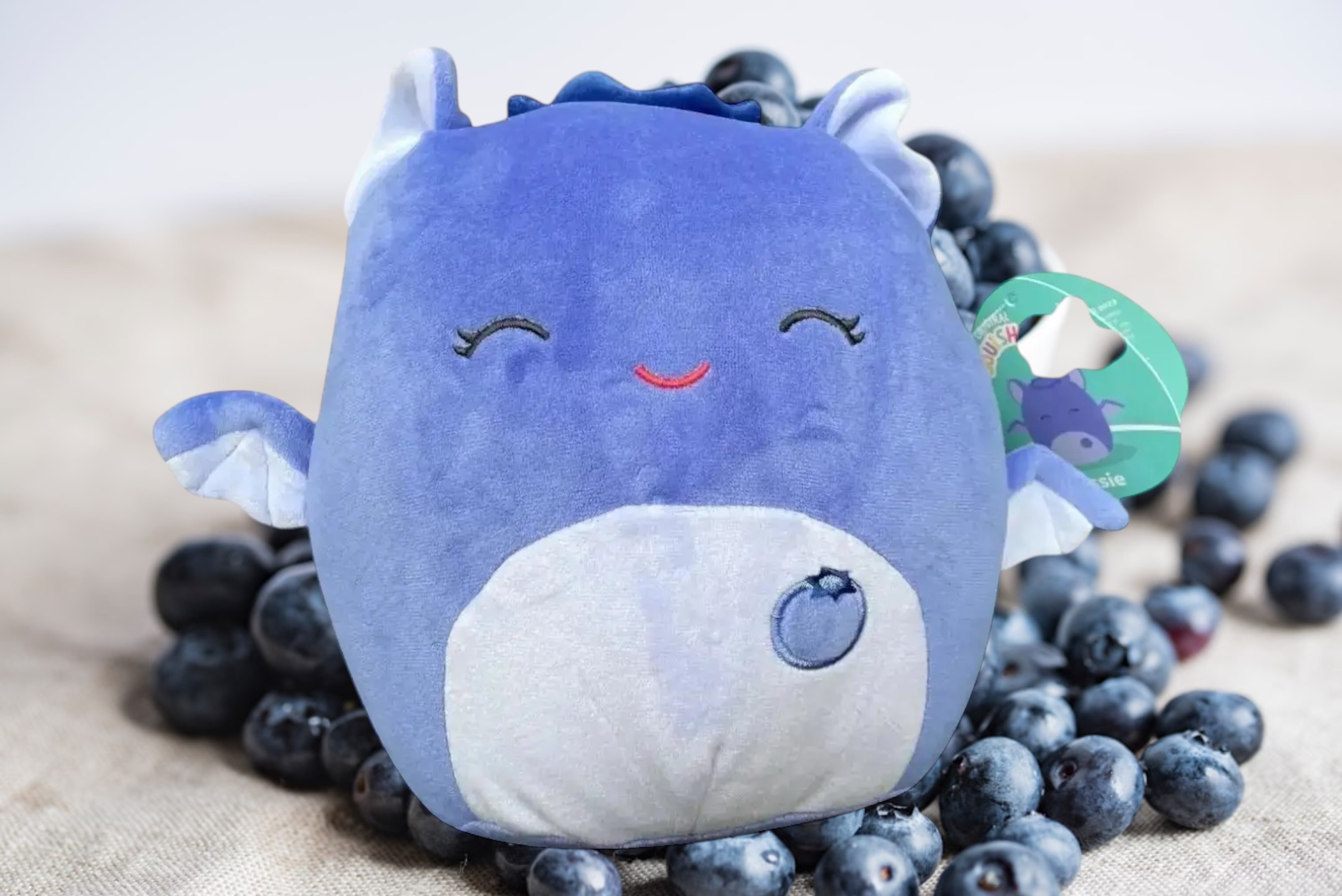 Bessie the Blueberry Bat: Your New Favorite Squishmallow! - Kawaii Toys