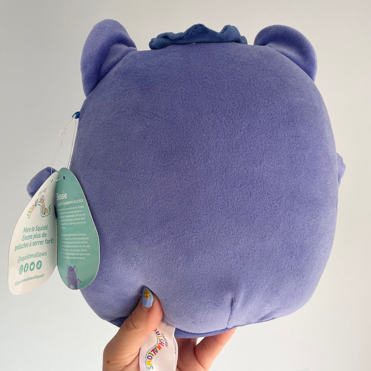 Squishmallow Plush Toy 8" Bessie the Blueberry Bat Squishmallows
