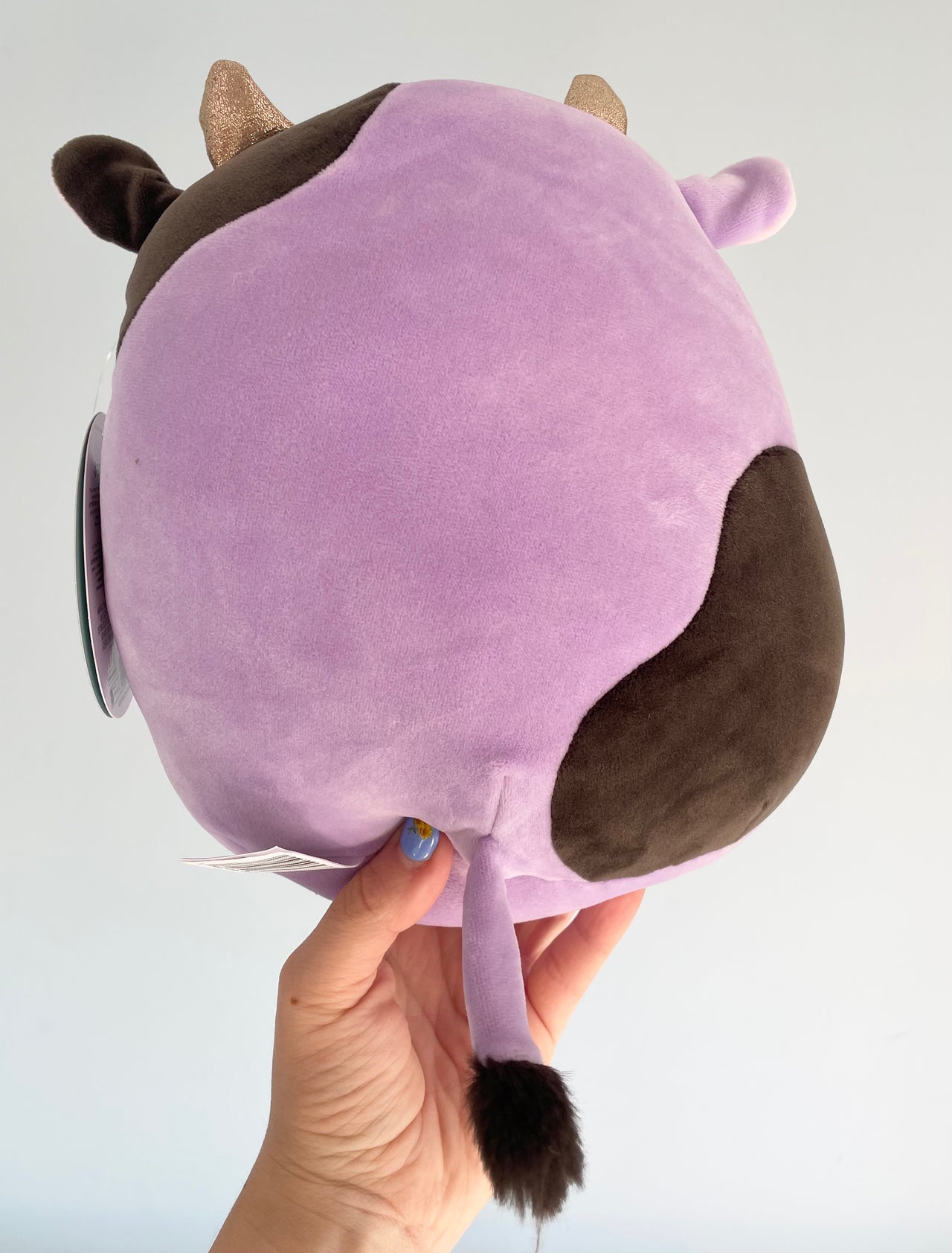 Squishmallow Plush Toy 8" Alexie the Cow Squishmallows