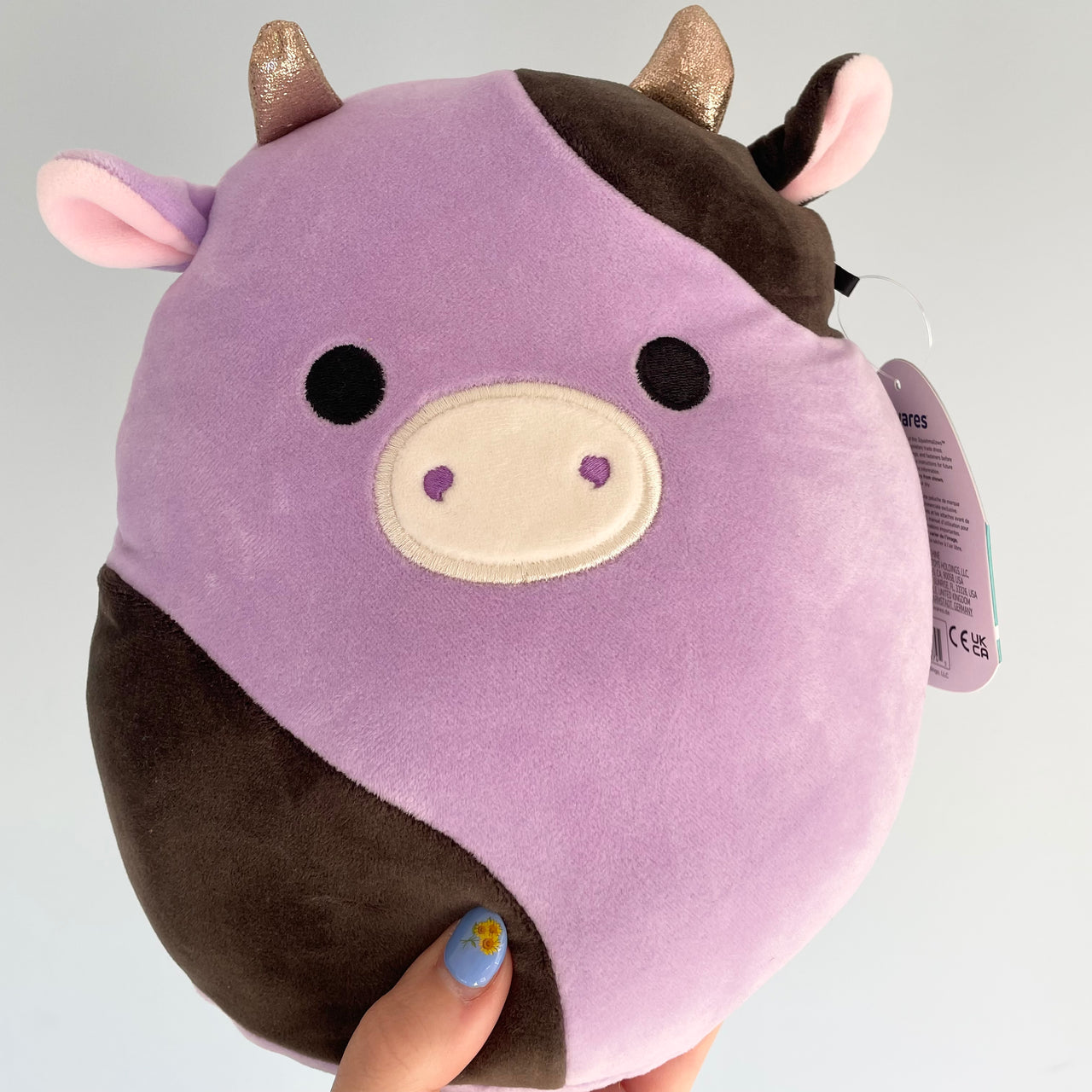 Squishmallow Plush Toy 8" Alexie the Cow Squishmallows