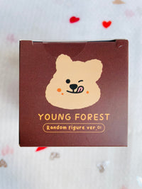 Young Forest Animal Kkotka Random Figure Blind Box Young Forest Animal Kkotka