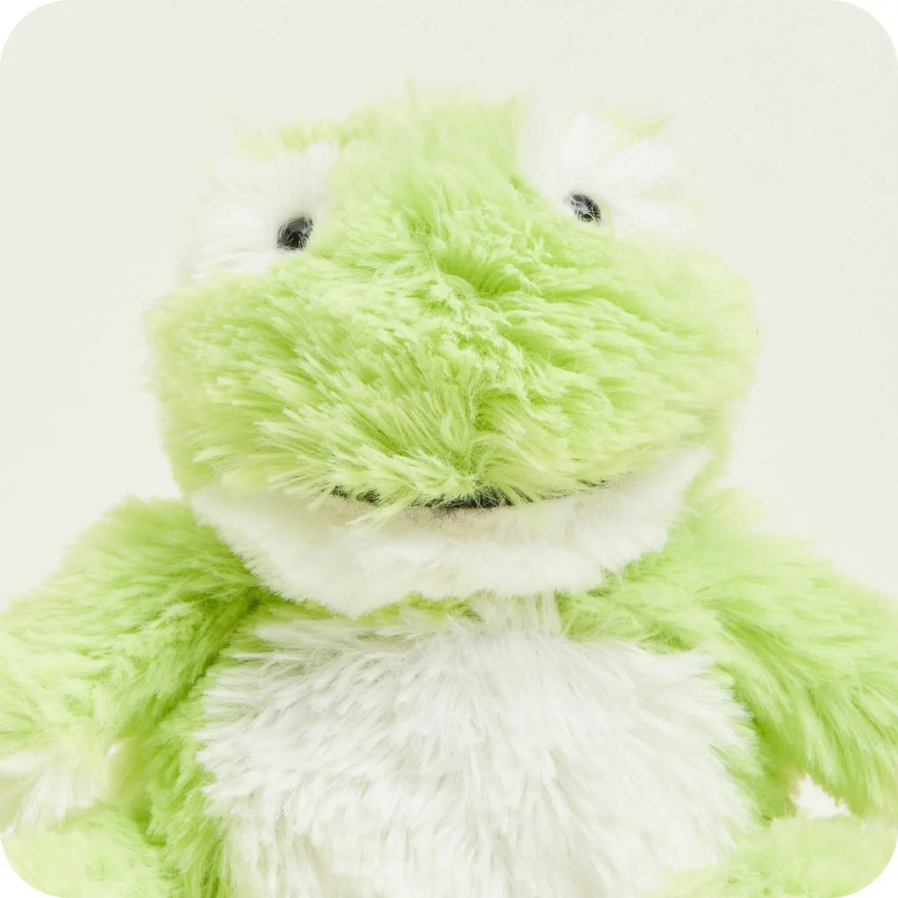Warmies Junior Frog Plush - Kawaii Toys