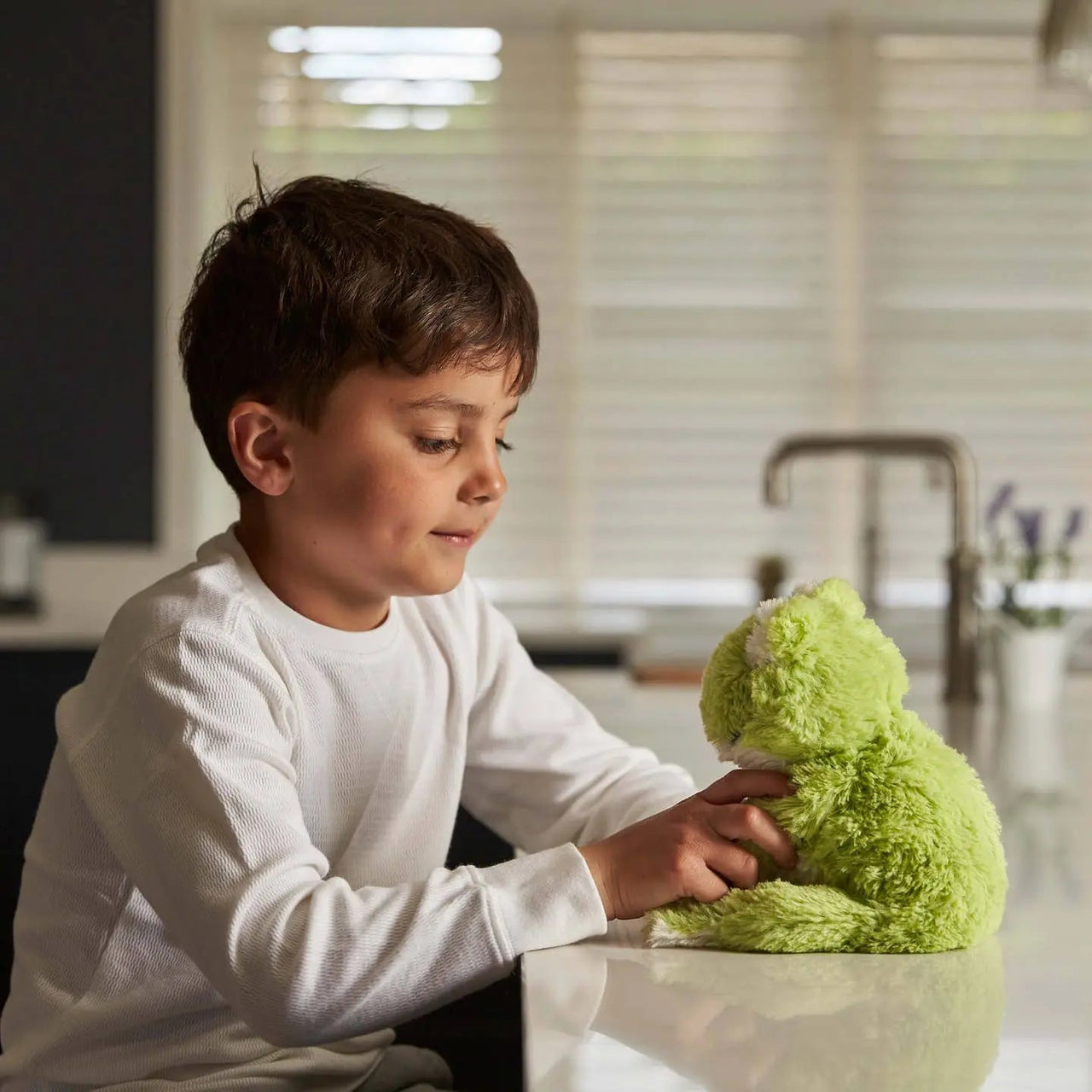 Warmies Junior Frog Plush - Kawaii Toys