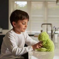 Warmies Junior Frog Plush - Kawaii Toys