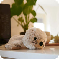 Warmies Seal Plush - Kawaii Toys