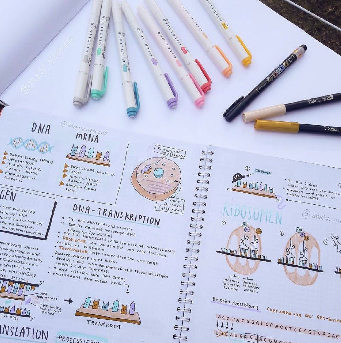 Zebra | Pen Mildliner Double Ended Highlighter - Kawaii Toys